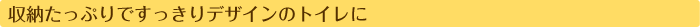 収納たっぷりですっきりデザインのトイレに